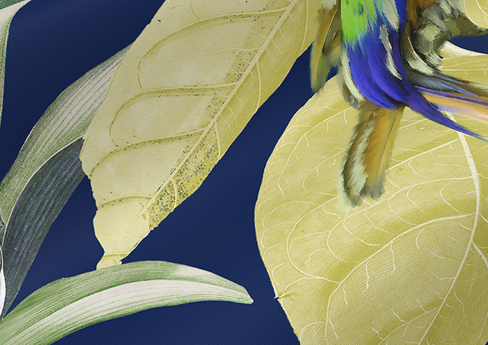 Parrot, Mangrove - Twist&Fit Roller Blind - Image 4